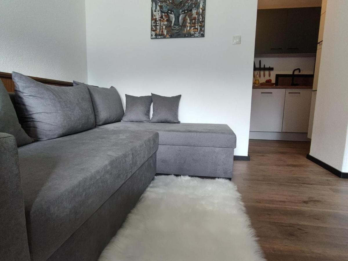 Great Apartment Near The Ski Area 希帕赫 外观 照片